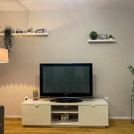 Tudor'S Apartment 布加勒斯特 外观 照片