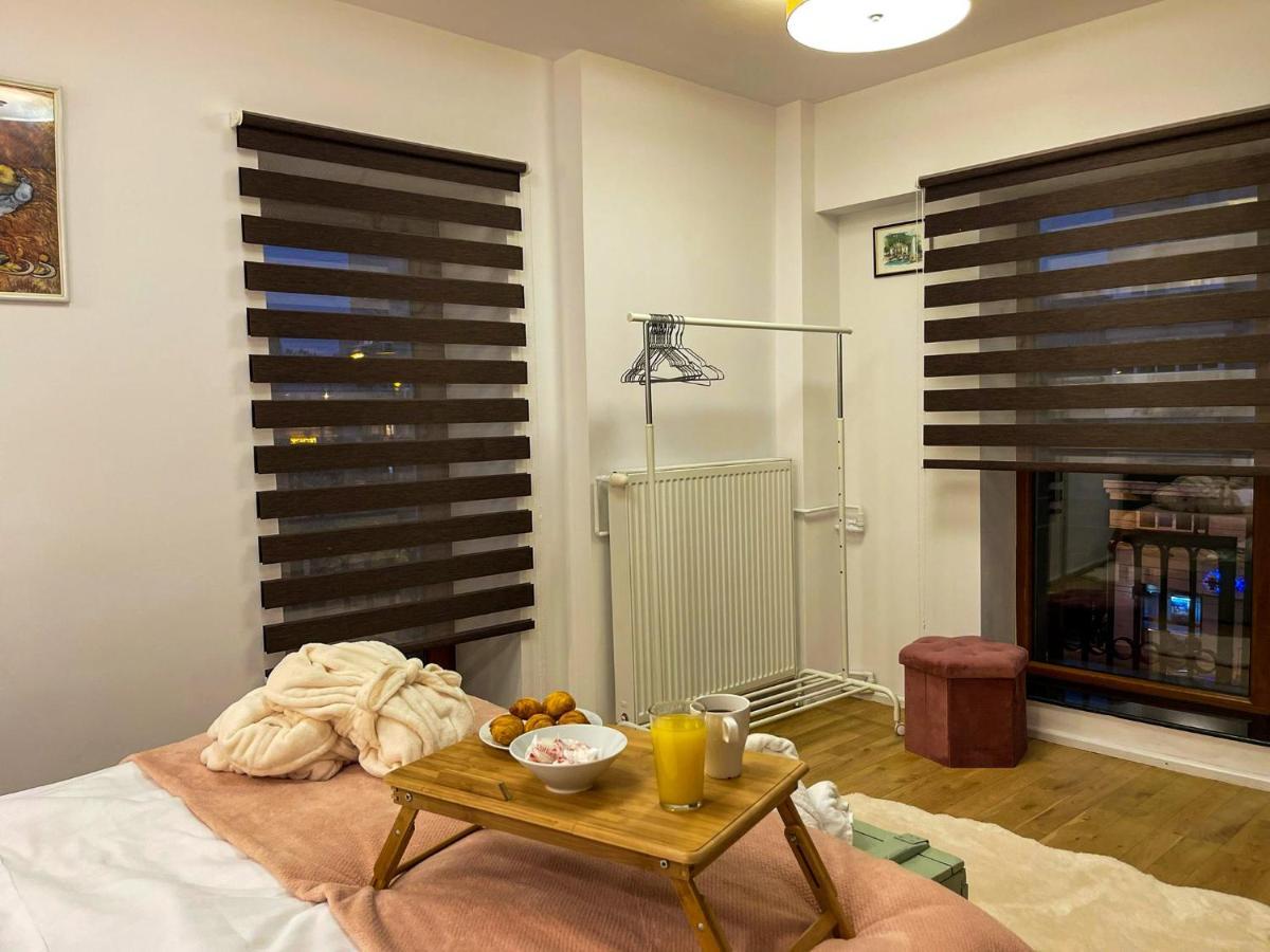 Tudor'S Apartment 布加勒斯特 外观 照片